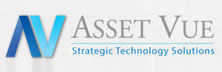 Asset Vue - Array Asset Vue